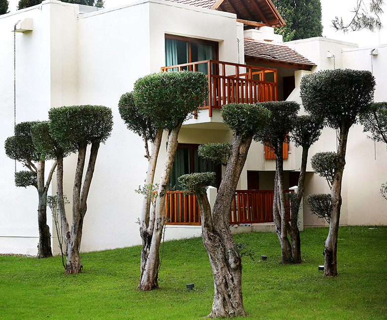 Club Med Palmiye